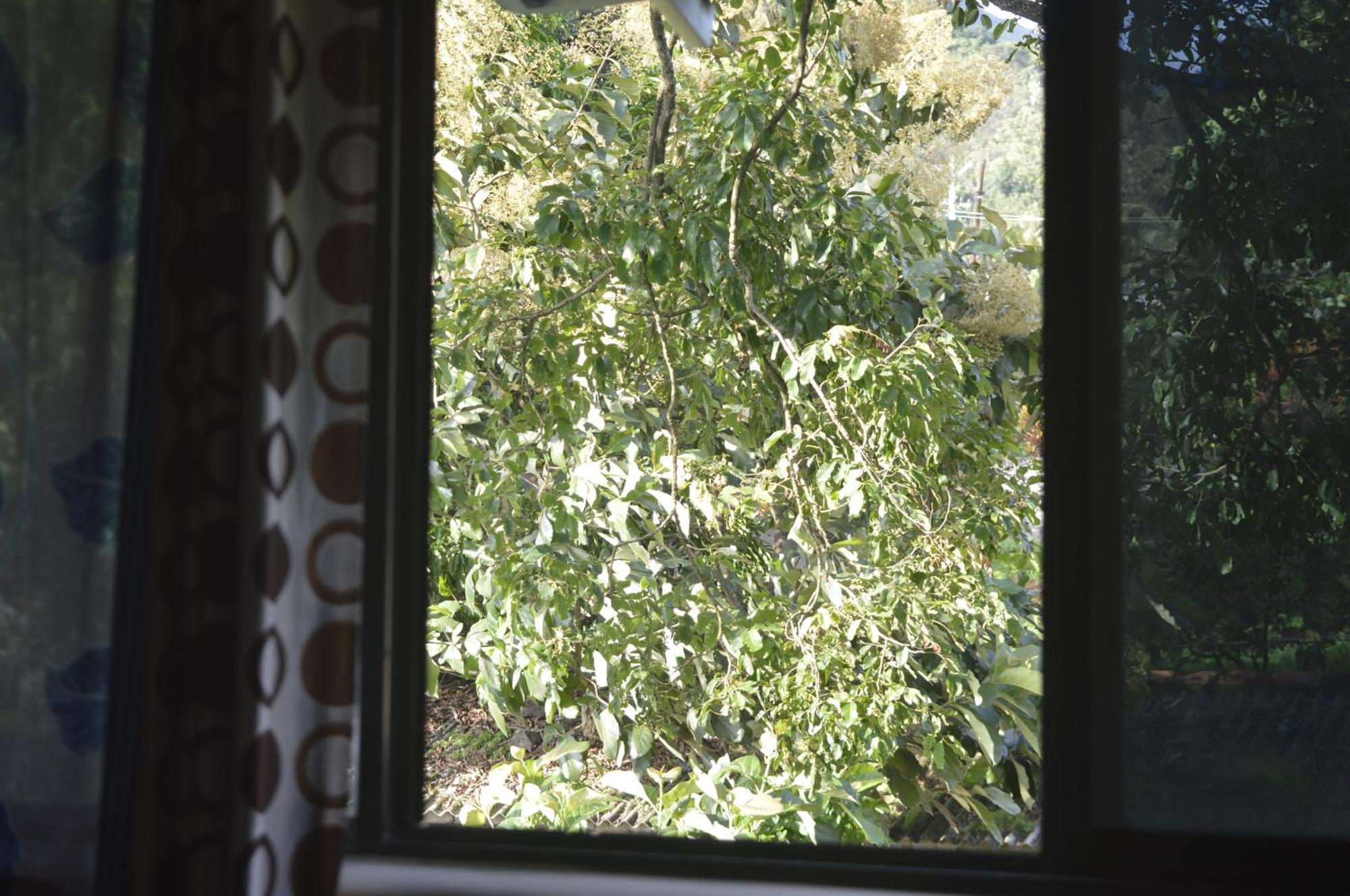 Green Castle Residency Nedumkandam Buitenkant foto